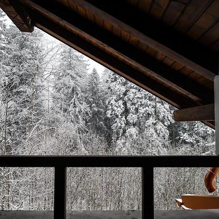 Vila Edelweiss Predeal Exteriér fotografie