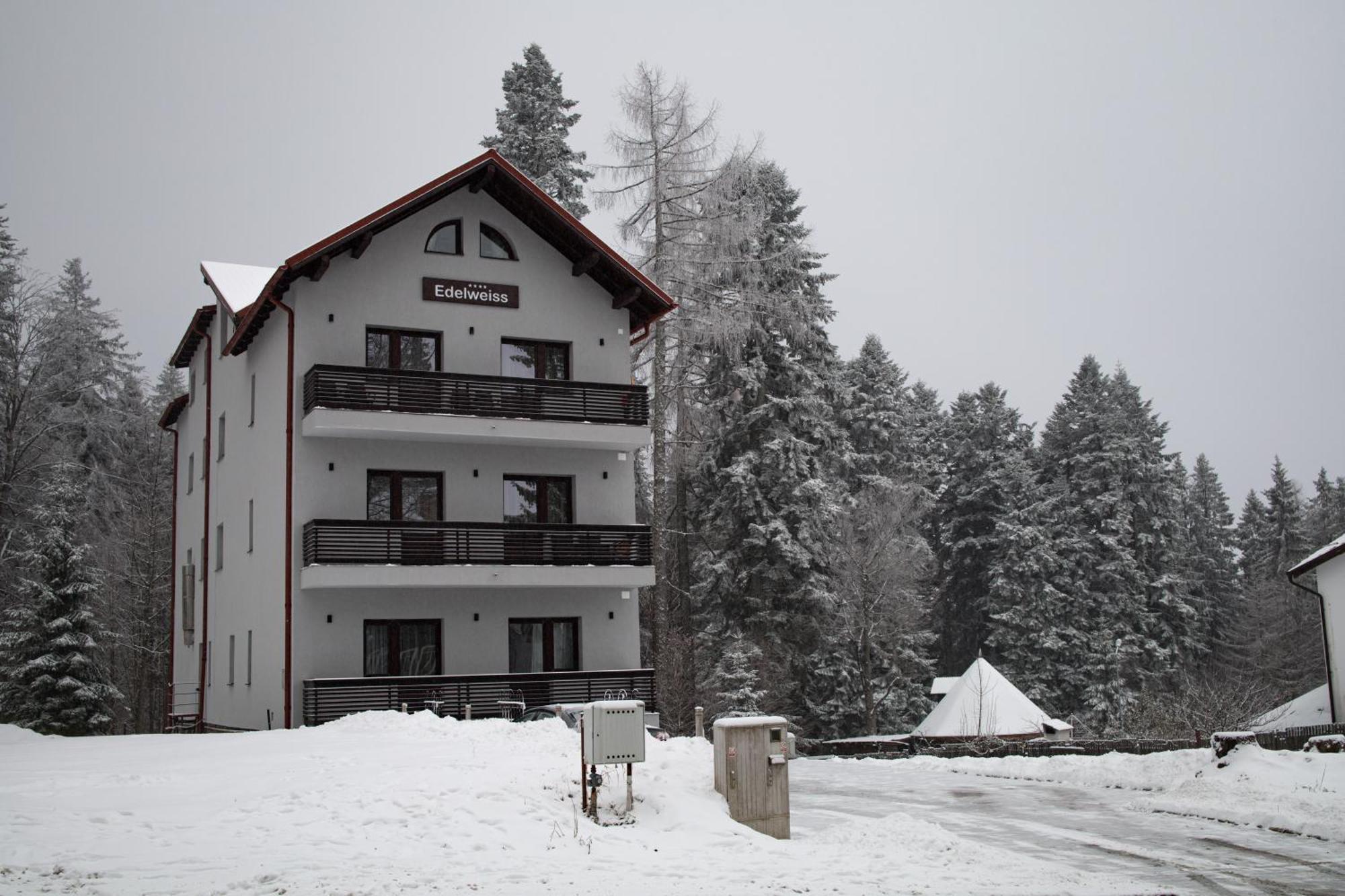 Vila Edelweiss Predeal Exteriér fotografie