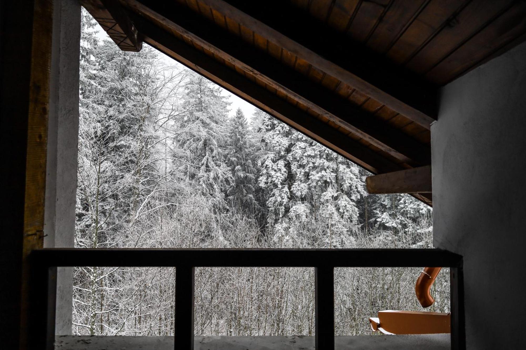 Vila Edelweiss Predeal Exteriér fotografie