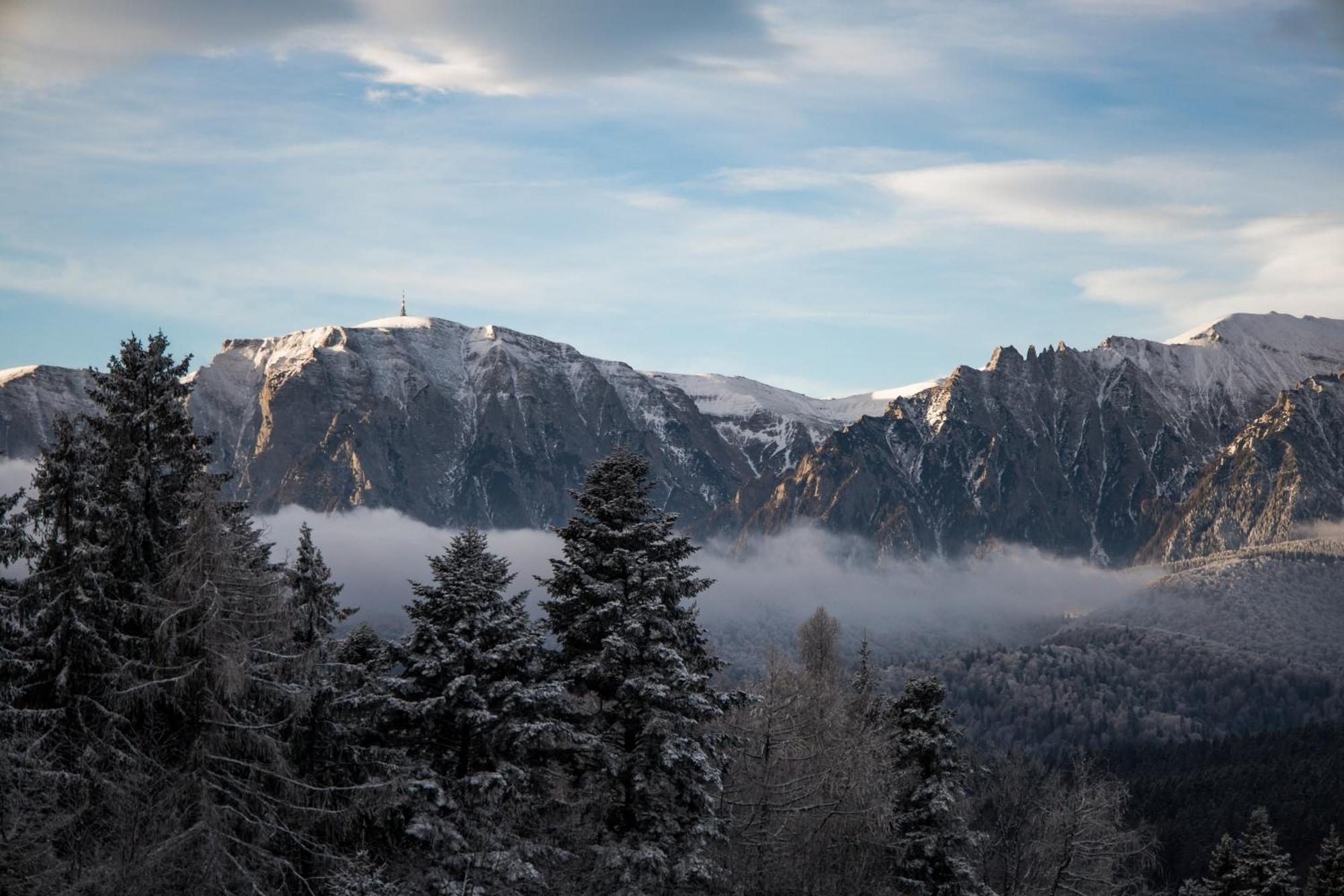 Vila Edelweiss Predeal Exteriér fotografie